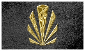 DNSEMP-C-602-GD-SH-BK Gold Sunburst Shimmer Black